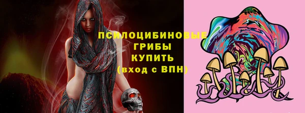 винт Бородино