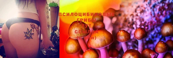 прущая мука Бронницы