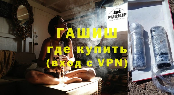 хмурый Бикин