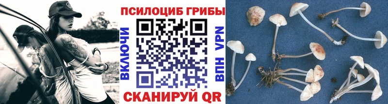 Псилоцибиновые грибы Magic Shrooms Вельск
